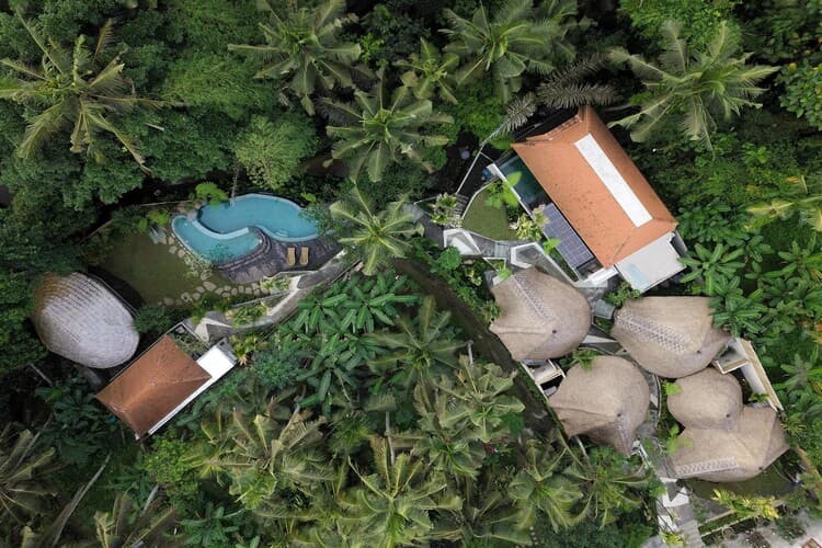 Amarea Villa Ubud, photo 2