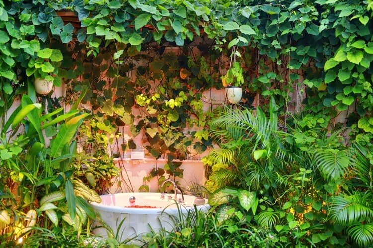 Sini Vie Villa, photo 17