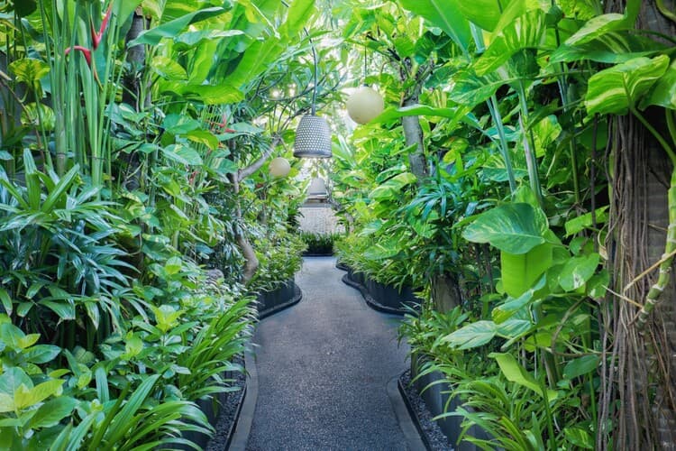 Seminyak Sanctuary, photo 6