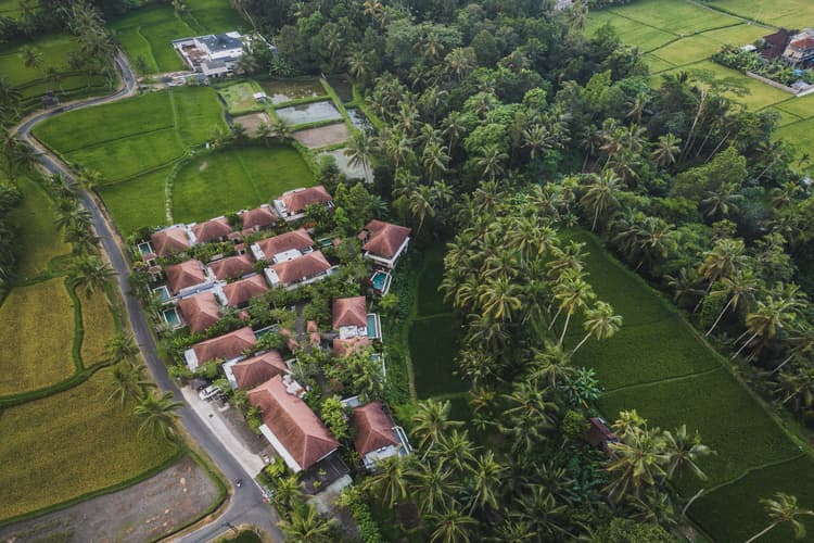Dedary Ubud Resort, photo 1