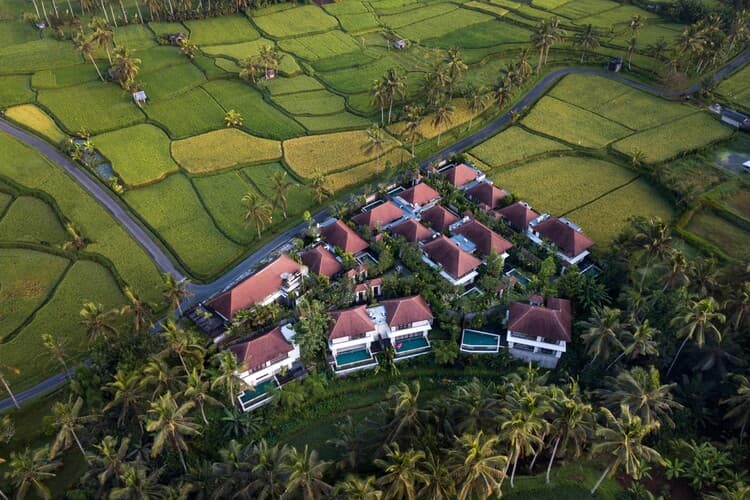 Dedary Ubud Resort, photo 2