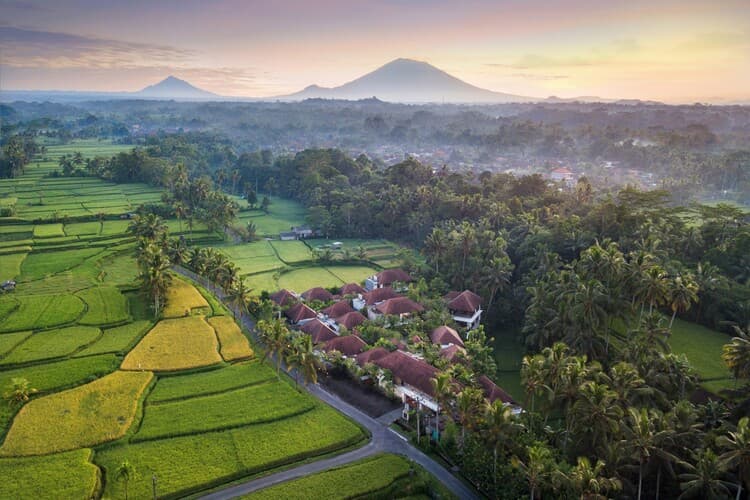 Dedary Ubud Resort, photo 3