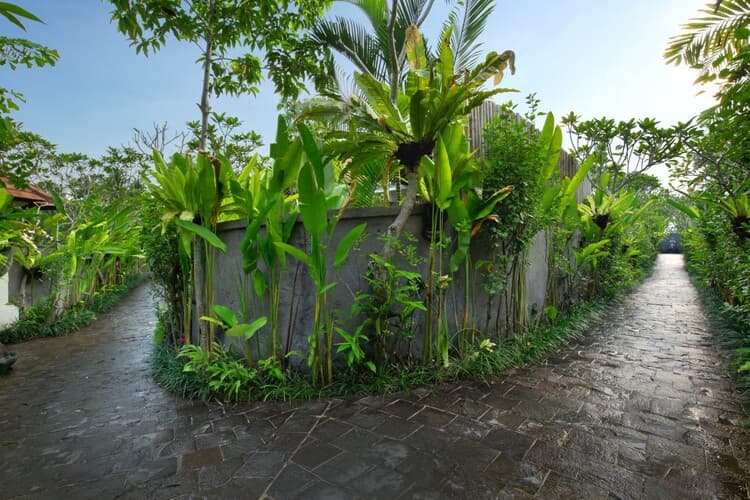 Dedary Ubud Resort, photo 9