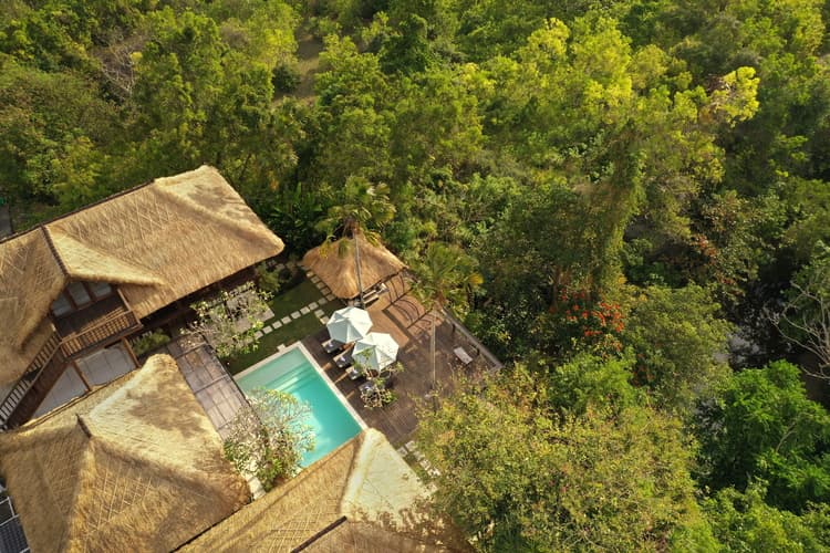 Villa Grasshopper, photo 2