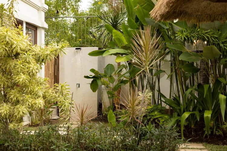 Villa Grasshopper, photo 9