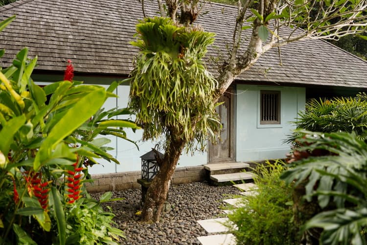 Villa Inka, photo 6